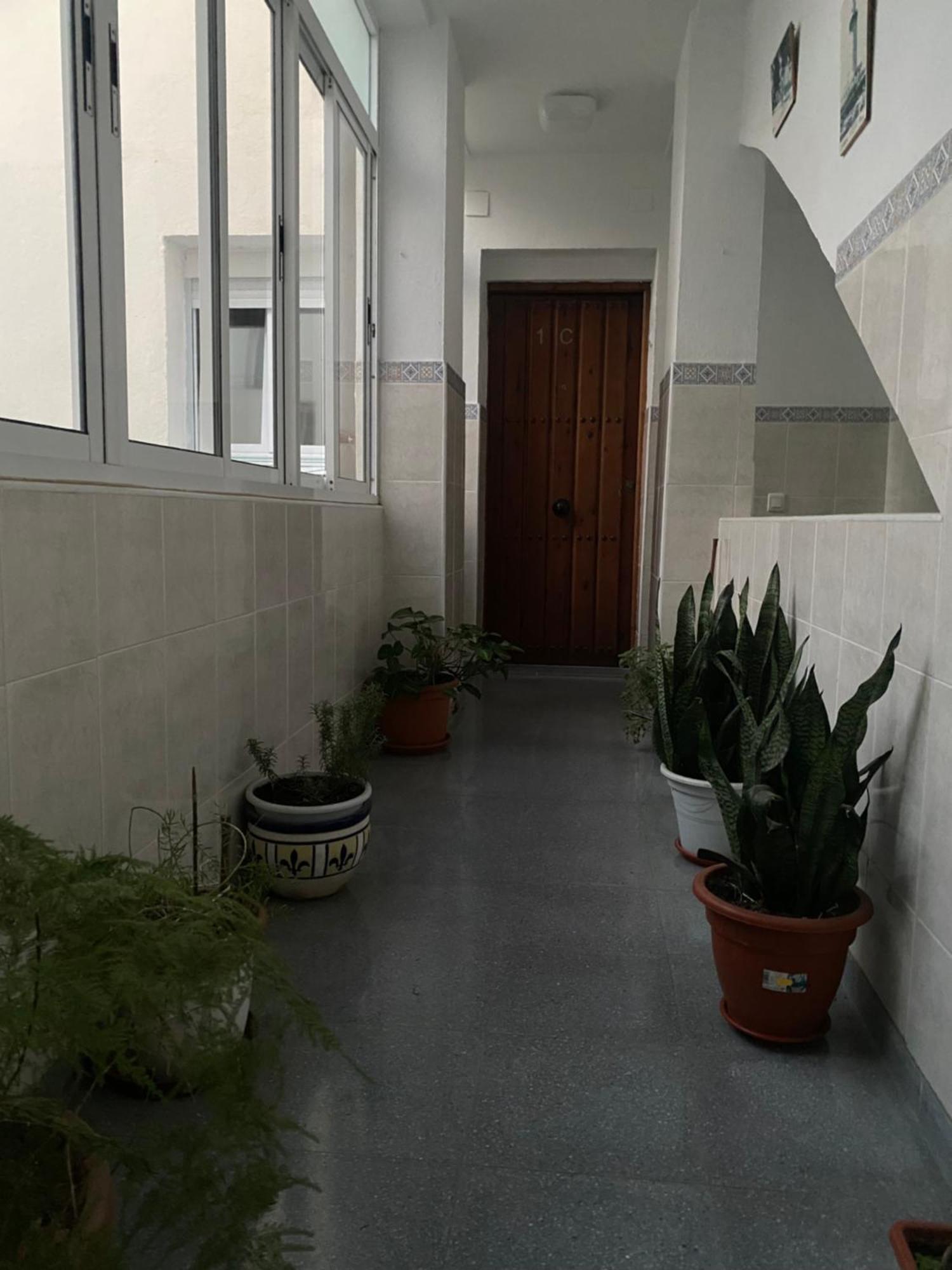 Alojamiento Canaima 말라가 외부 사진